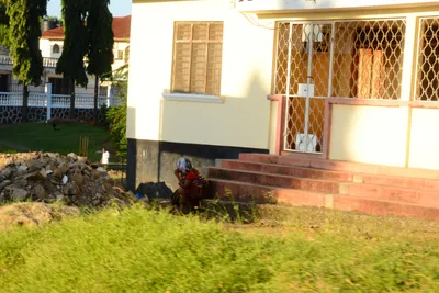 DSC_8233 (Large).JPG